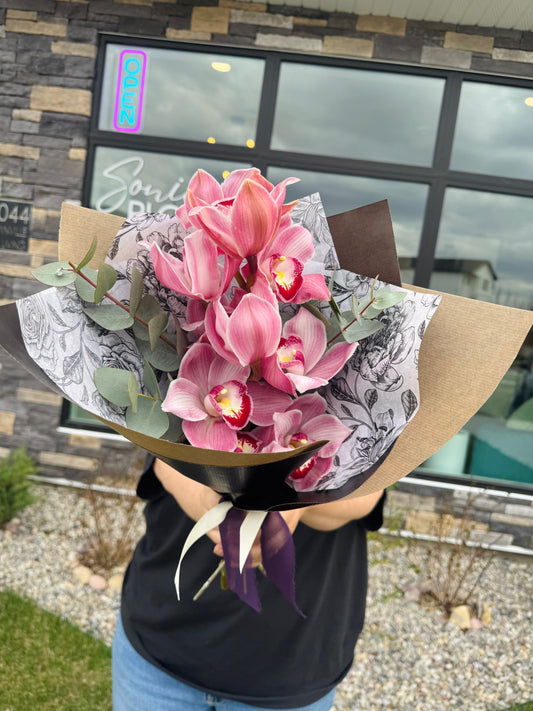 CYMBIDIUM ORCHIDS