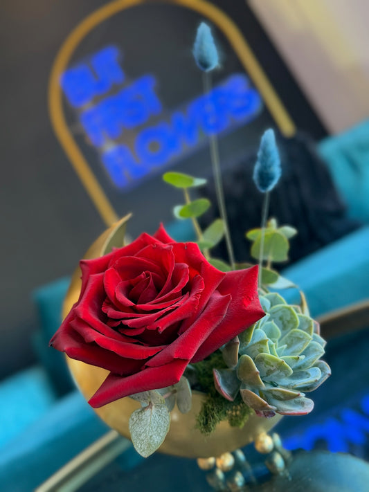 TO THE MOON AND BACK