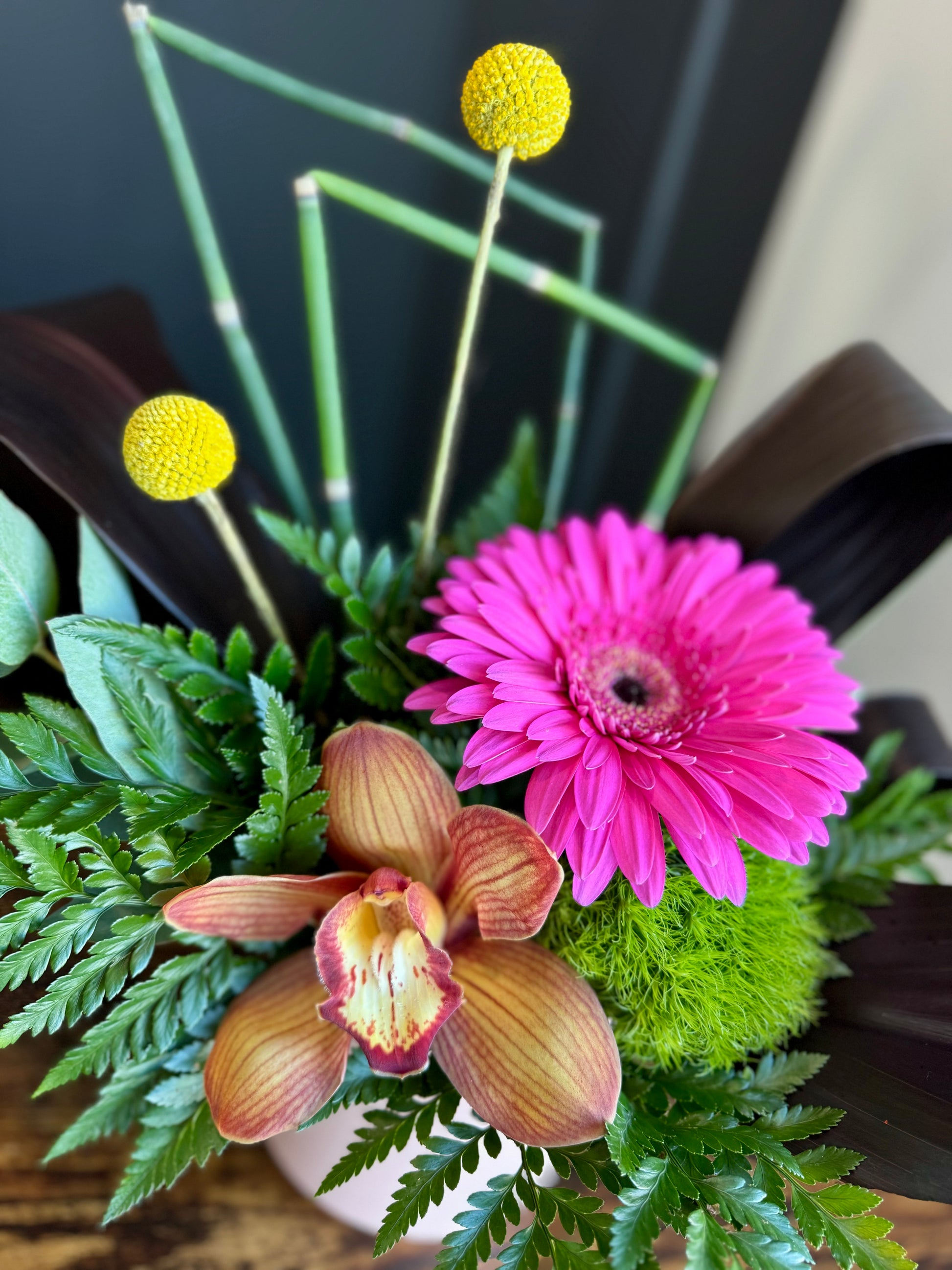 Lethbridge Flower Gift Cosmo Gerbera Daisy Orchid Leaf Delivery Pick-up