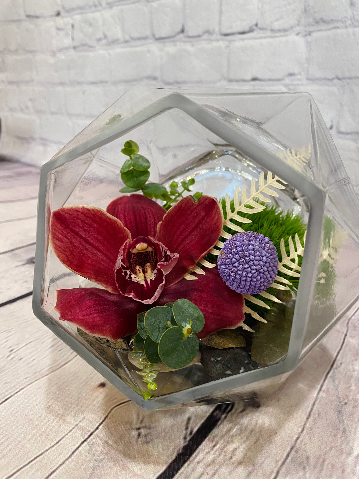 Lethbridge Flower Gift Orchid Geometric Bowl Delivery Pick-up