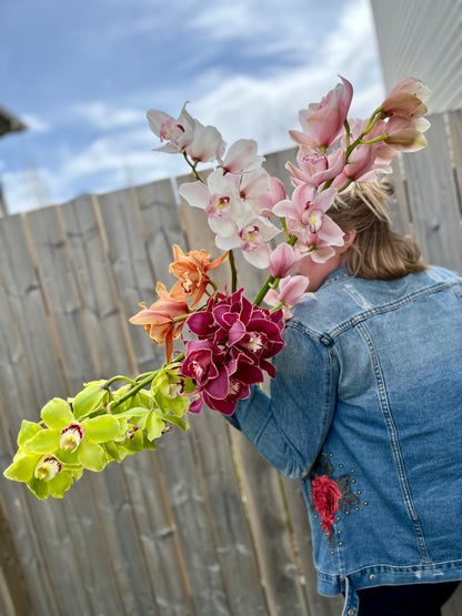 Lethbridge Flowers Orchid Colours Green Pink Orange White Burgundy Delivery Pick-up 