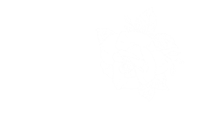 Sonic BLOOM